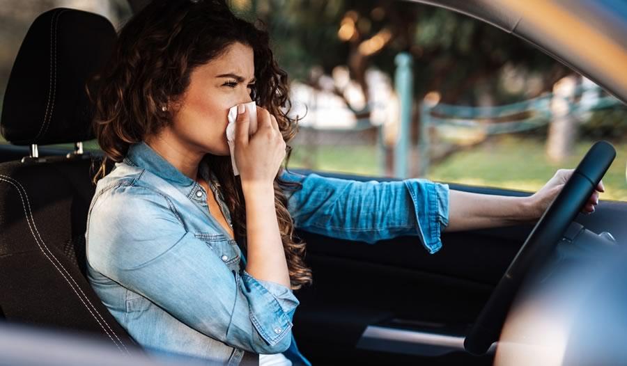 Autoescola Sant Feliu - Blog - Si tienes alergia, ¡cuidado al volante! Autoescola Sant Feliu - Blog - Si tienes alergia, ¡cuidado al volante!